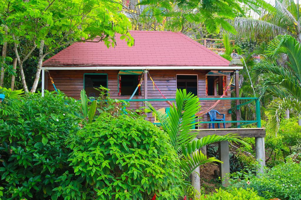 Zion Country Bed & Breakfast Manchioneal Rom bilde