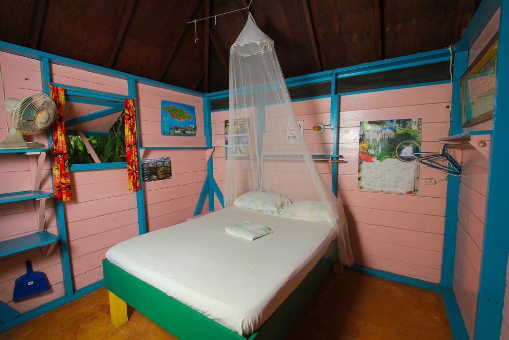 Zion Country Bed & Breakfast Manchioneal Rom bilde